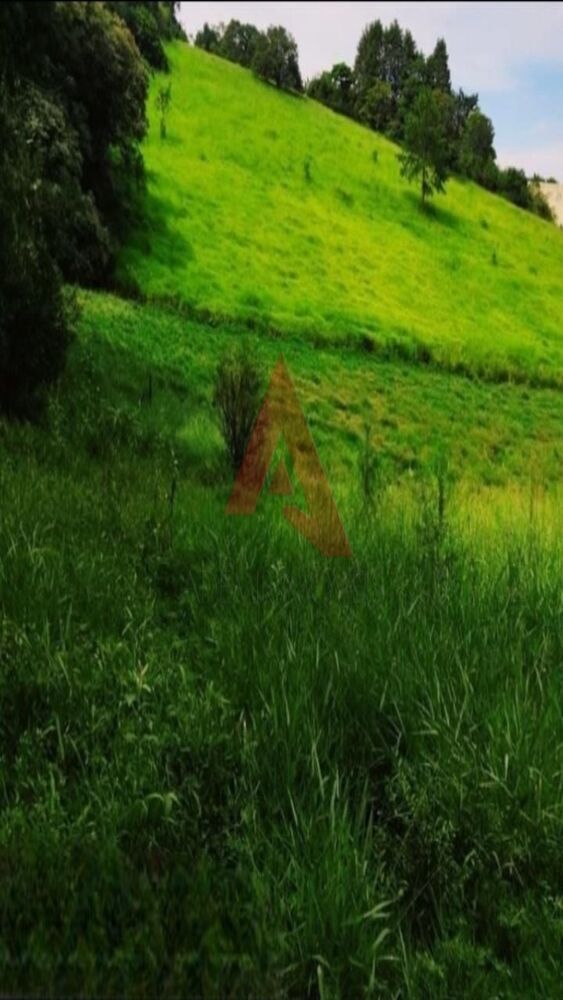 Terreno, 2 hectares - Foto 1