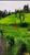Terreno, 2 hectares - Foto 4