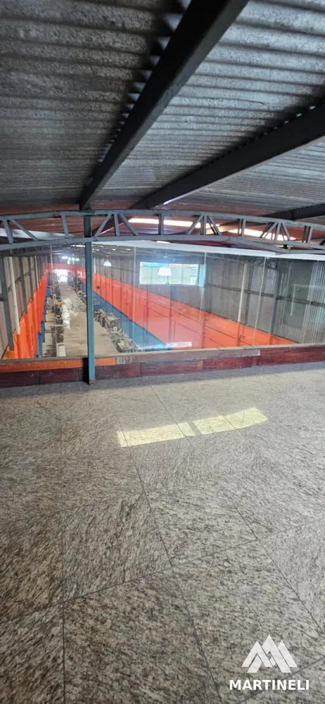 Depósito-Galpão, 1500 m² - Foto 3