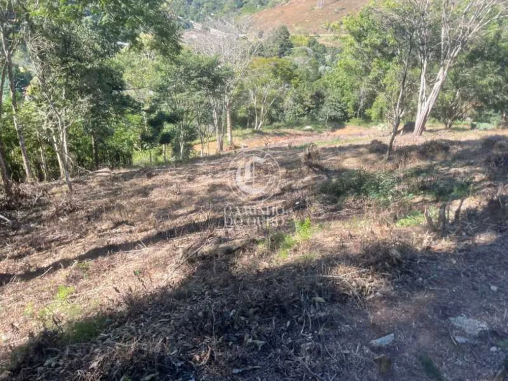 Terreno, 5000 m² - Foto 4