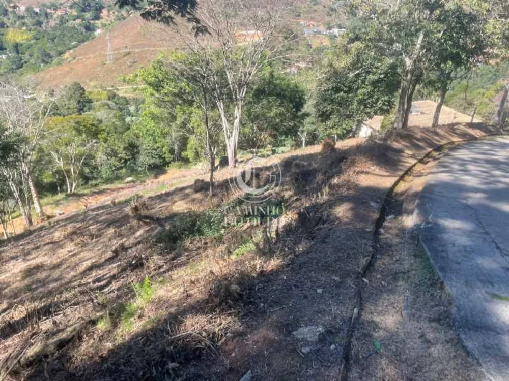 Terreno, 5000 m² - Foto 6