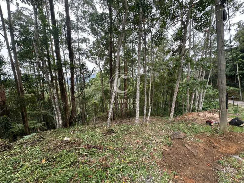 Terreno, 2300 m² - Foto 1