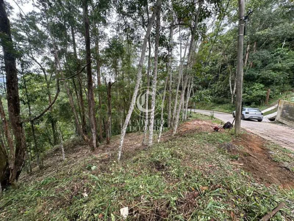 Terreno, 2300 m² - Foto 2