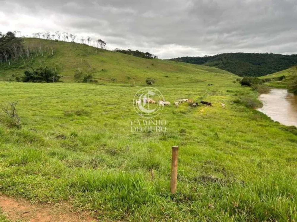 Fazenda - Foto 1