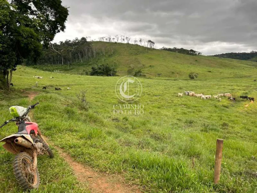 Fazenda - Foto 3