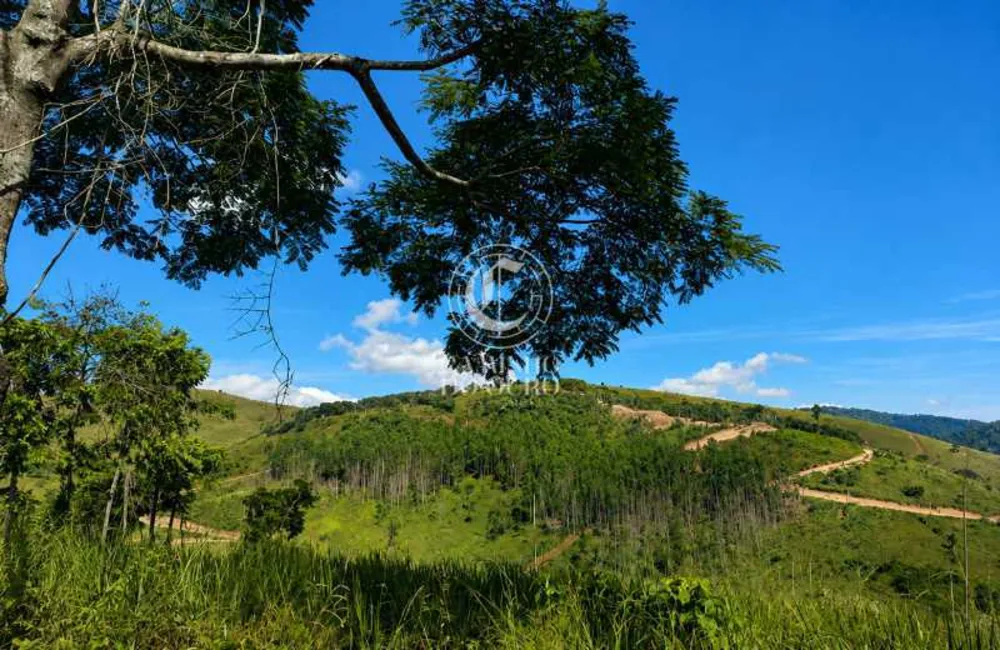 Terreno, 2 hectares - Foto 4