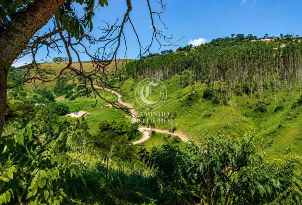 Terreno, 2 hectares - Foto 3