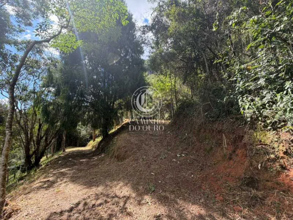 Terreno, 2 hectares - Foto 3