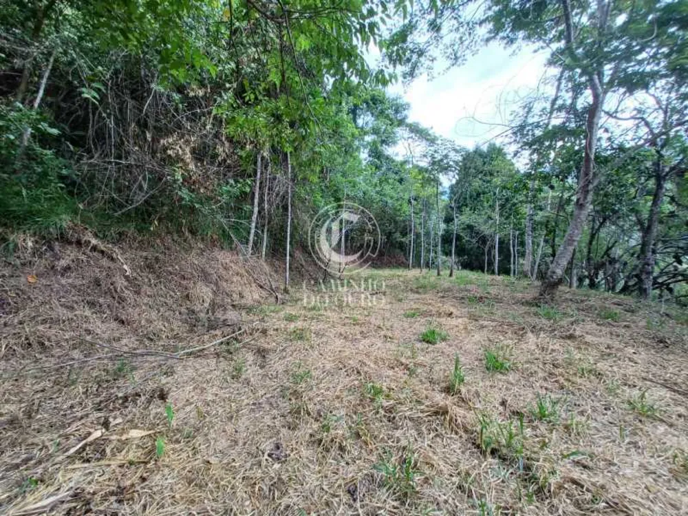 Terreno, 2 hectares - Foto 19