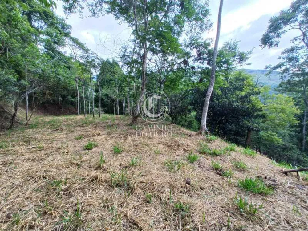 Terreno, 2 hectares - Foto 18