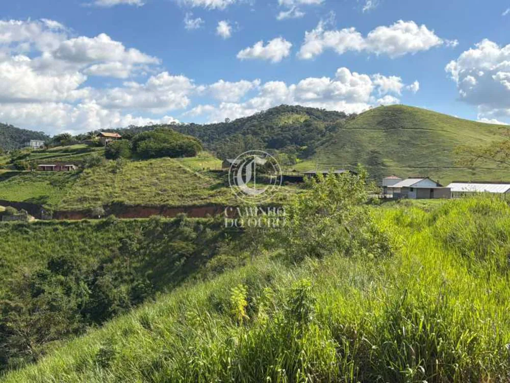 Terreno, 2 hectares - Foto 6