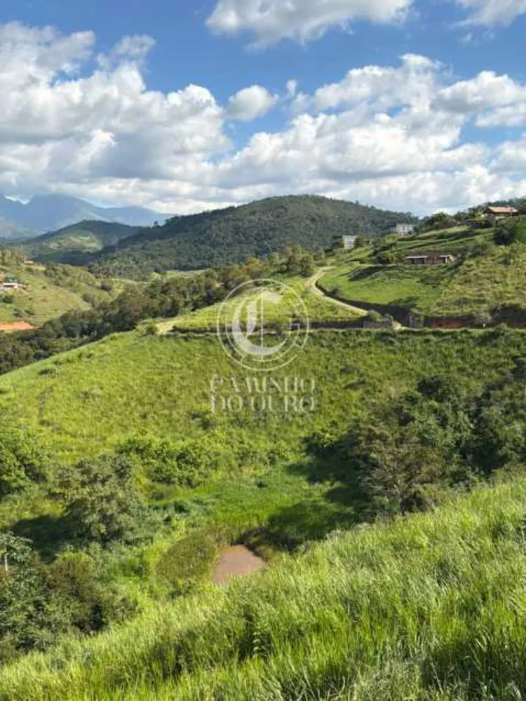 Terreno, 2 hectares - Foto 8