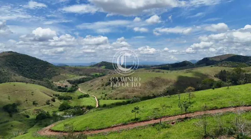 Terreno, 2 hectares - Foto 14