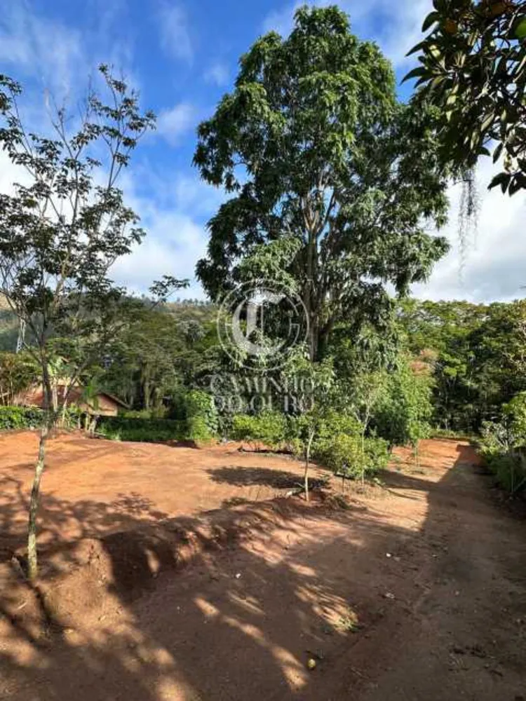 Terreno, 2300 m² - Foto 3