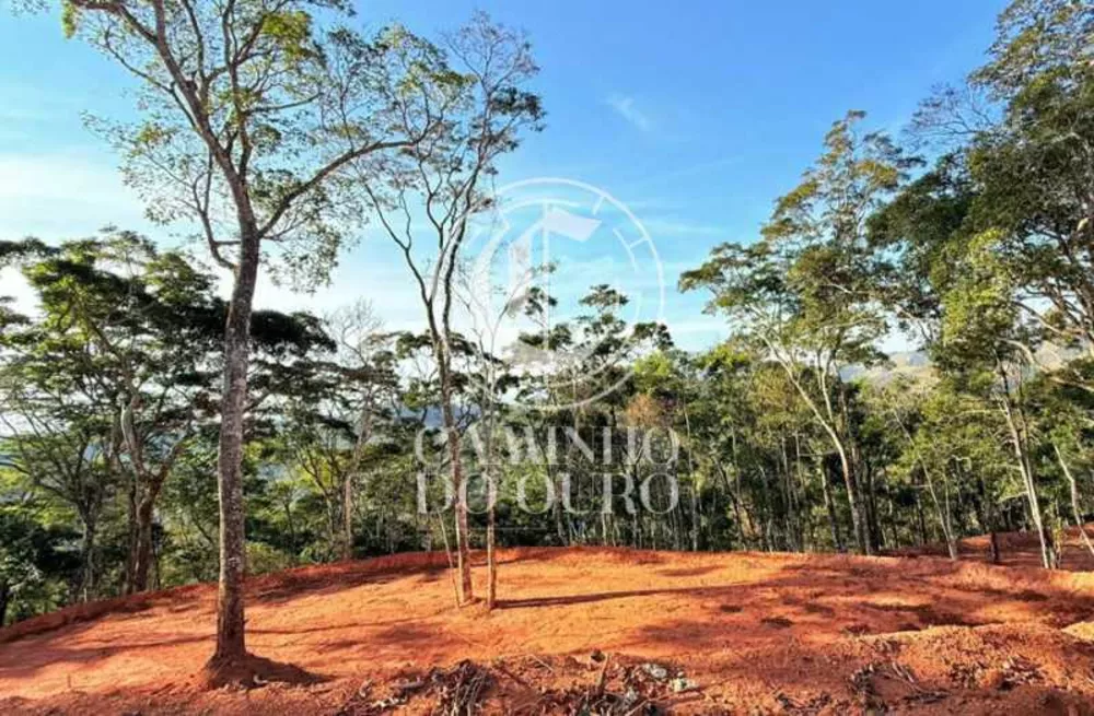 Terreno, 4505 m² - Foto 6