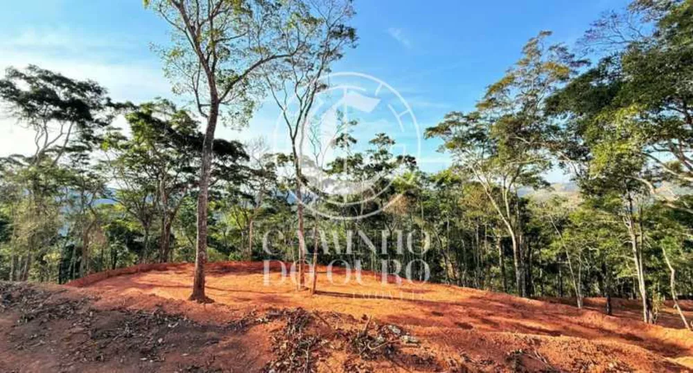 Terreno, 4505 m² - Foto 4