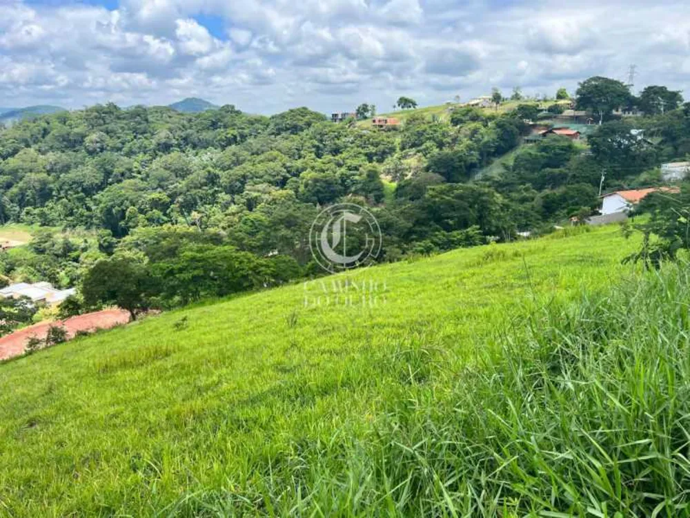 Terreno, 1167 m² - Foto 7