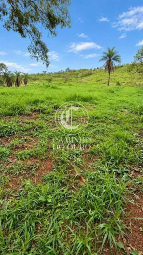 Terreno, 88000 m² - Foto 5