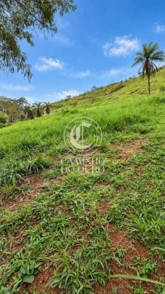 Terreno, 88000 m² - Foto 4