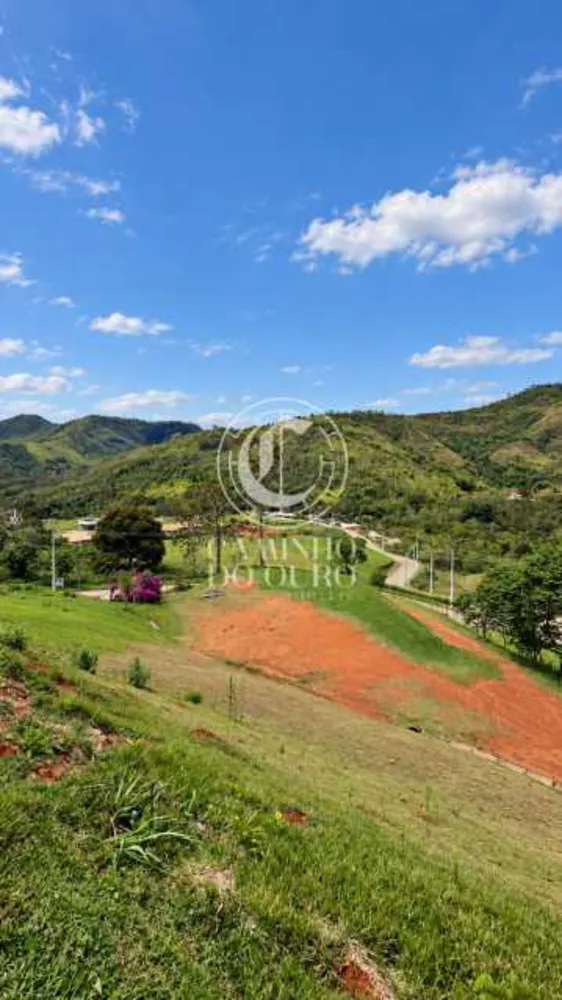 Terreno, 5000 m² - Foto 3