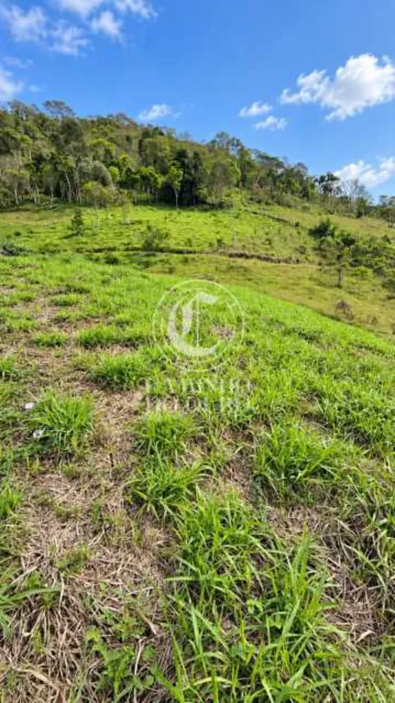 Terreno, 5000 m² - Foto 4