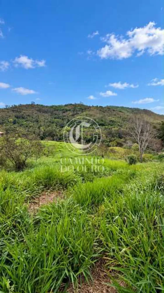 Terreno, 2043 m² - Foto 6