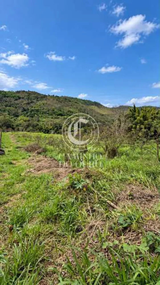 Terreno, 2043 m² - Foto 7