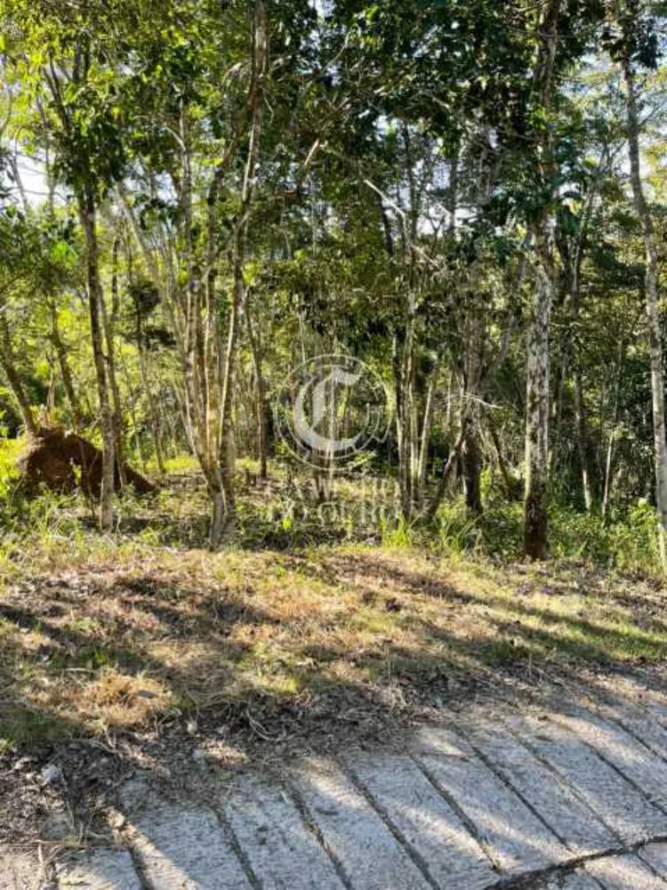 Terreno, 1090 m² - Foto 14