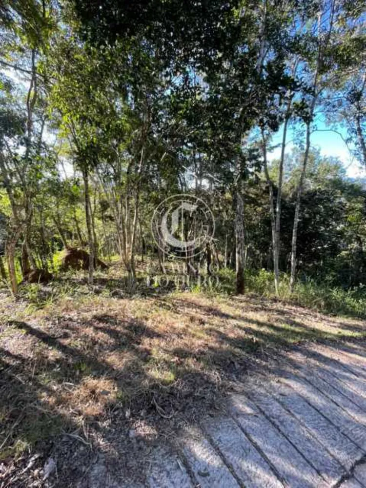 Terreno, 1090 m² - Foto 13