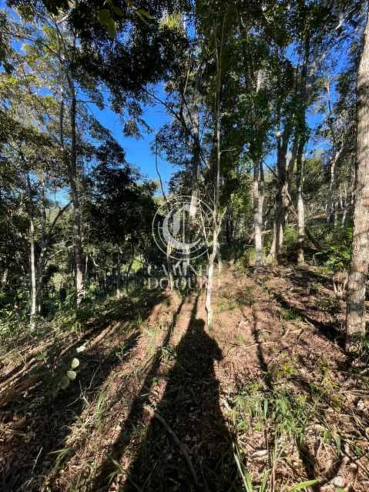 Terreno, 1090 m² - Foto 5