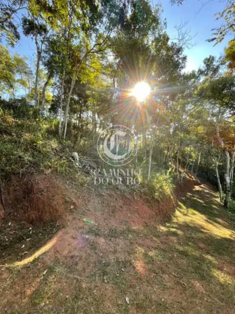 Terreno, 1090 m² - Foto 4