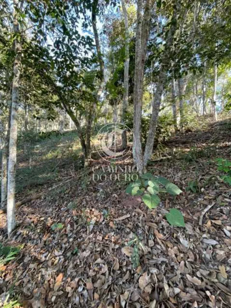 Terreno, 1090 m² - Foto 9