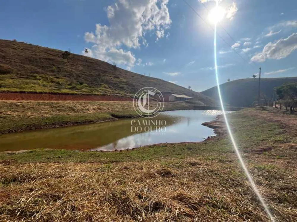 Terreno, 2 hectares - Foto 3