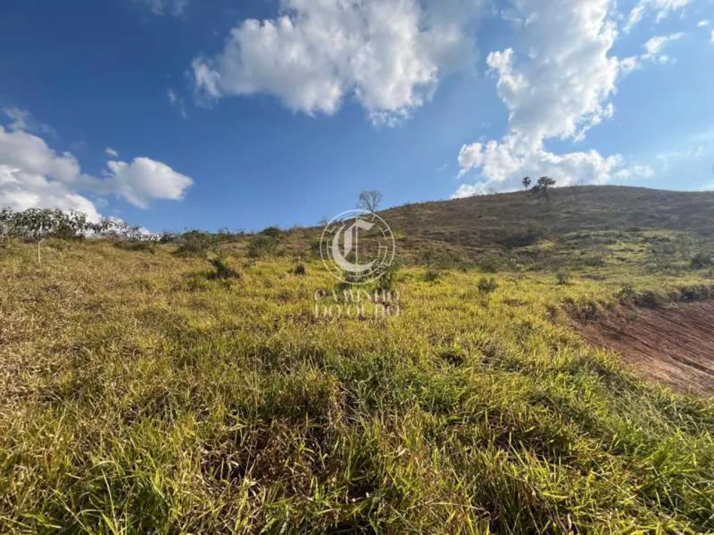 Terreno, 2 hectares - Foto 4