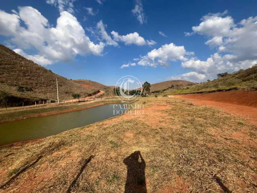 Terreno, 2 hectares - Foto 6