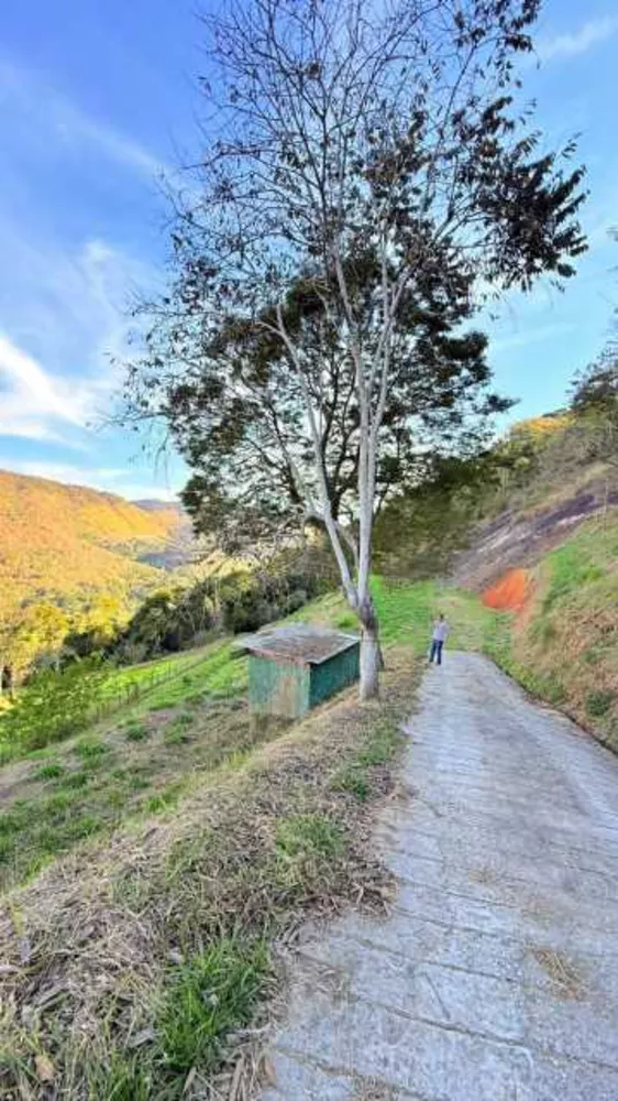 Terreno, 7684 m² - Foto 8