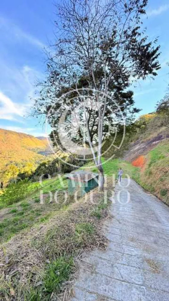 Terreno, 7684 m² - Foto 6