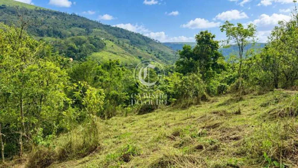 Terreno, 21881 m² - Foto 8