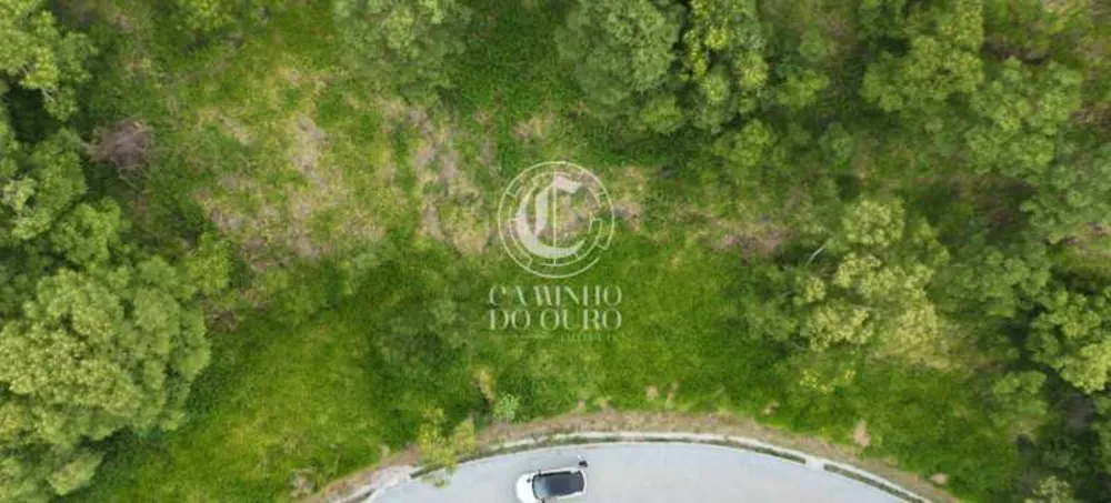 Terreno, 3224 m² - Foto 22