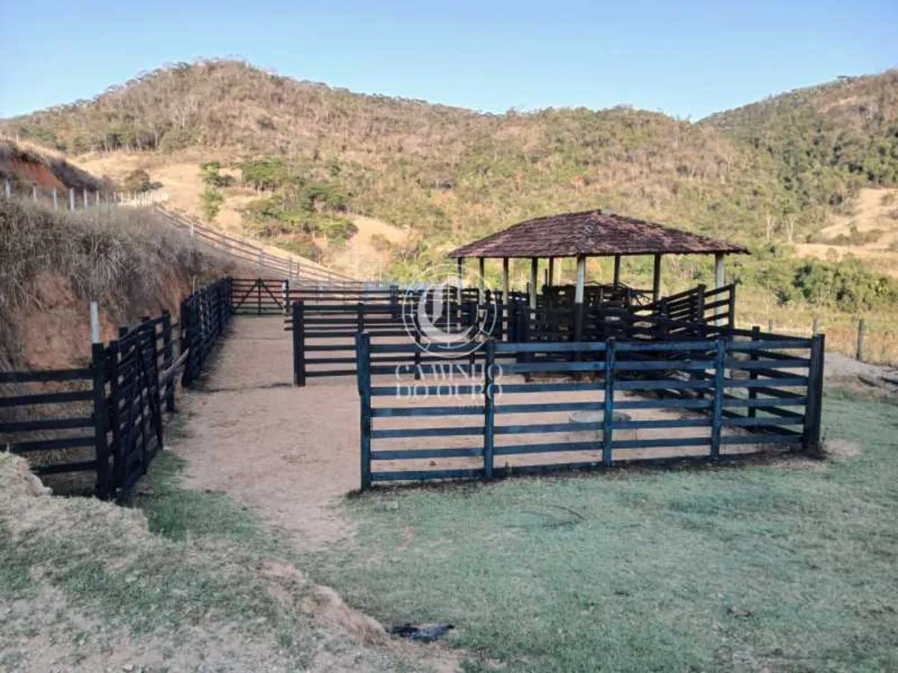 Fazenda - Foto 4