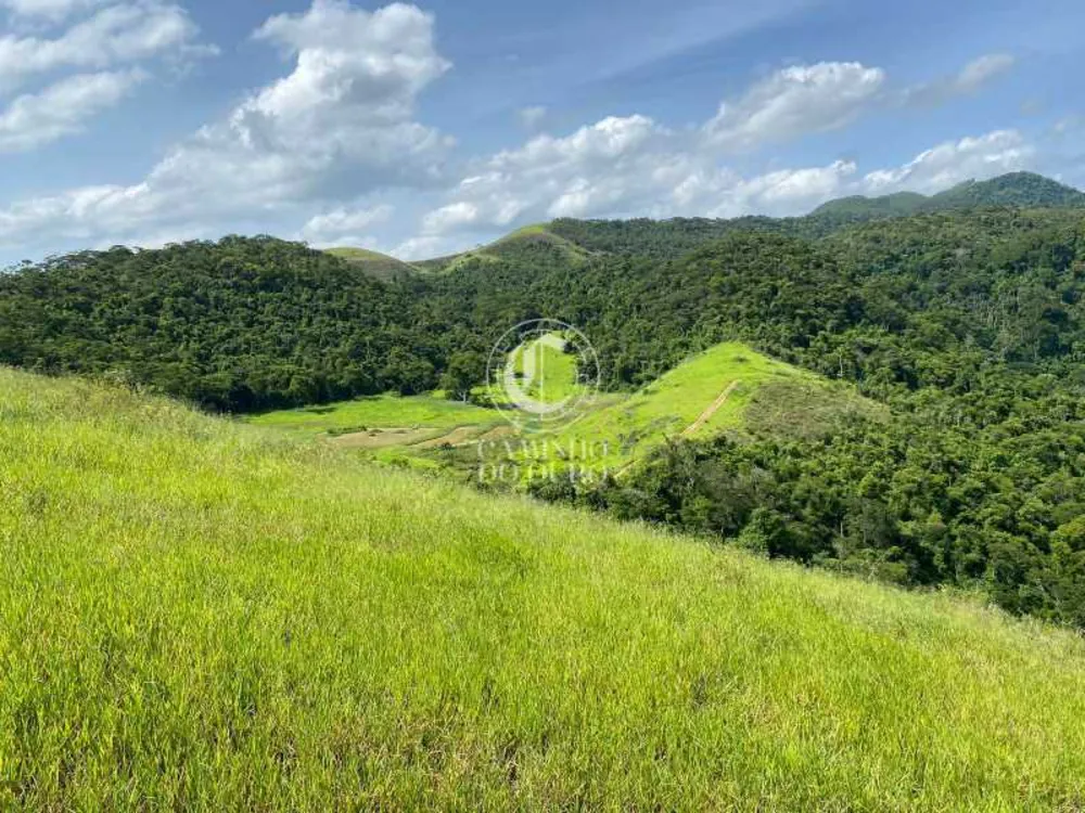 Fazenda - Foto 11