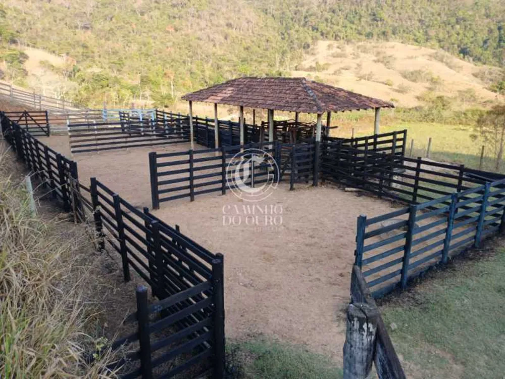 Fazenda - Foto 6