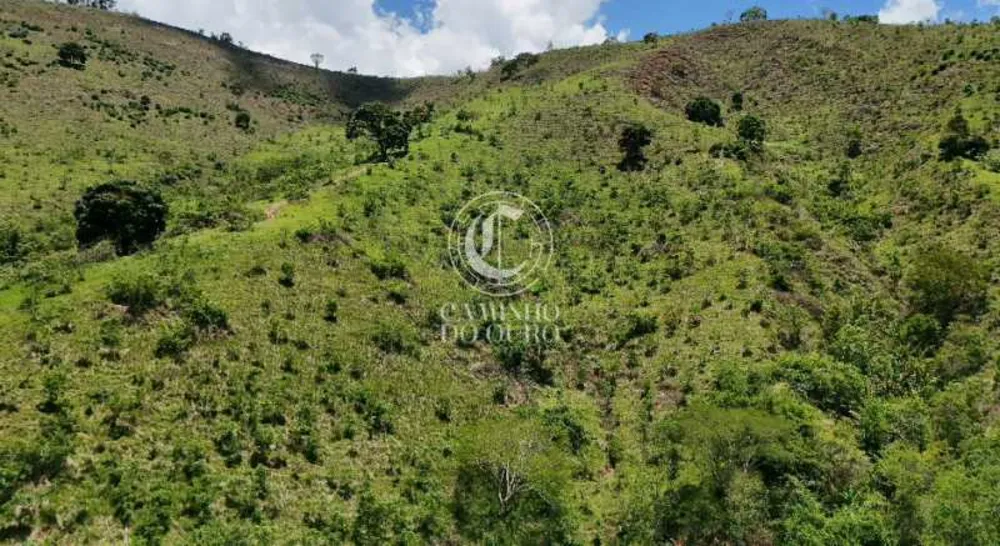 Terreno, 2 hectares - Foto 43