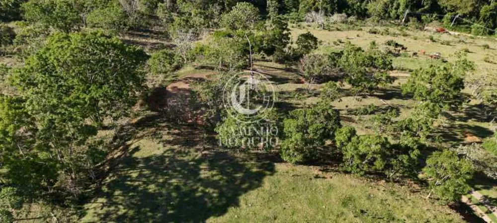 Terreno, 2 hectares - Foto 28