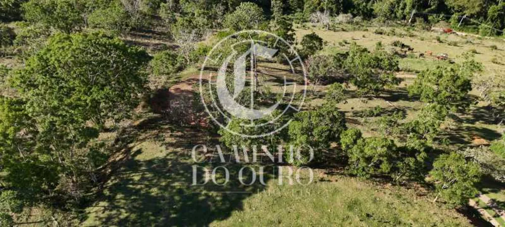 Terreno, 2 hectares - Foto 23