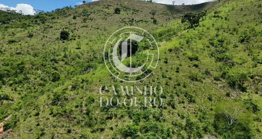 Terreno, 2 hectares - Foto 12