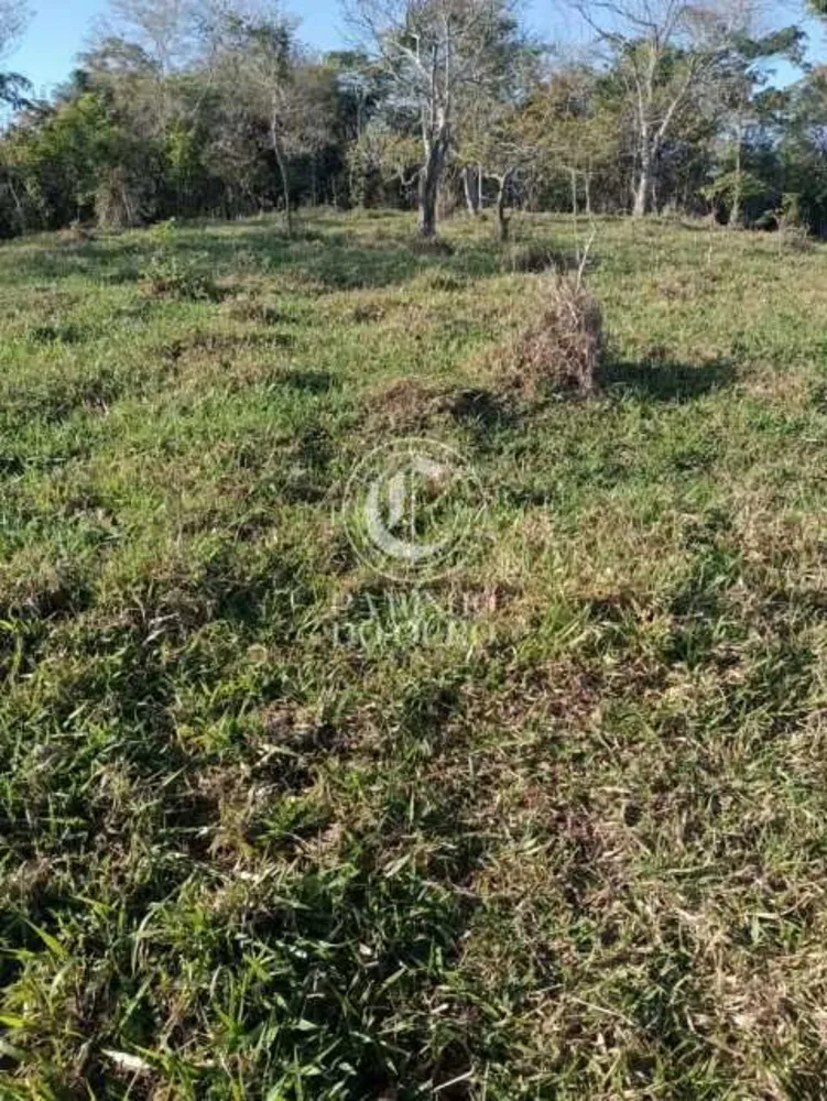 Terreno, 11 hectares - Foto 13