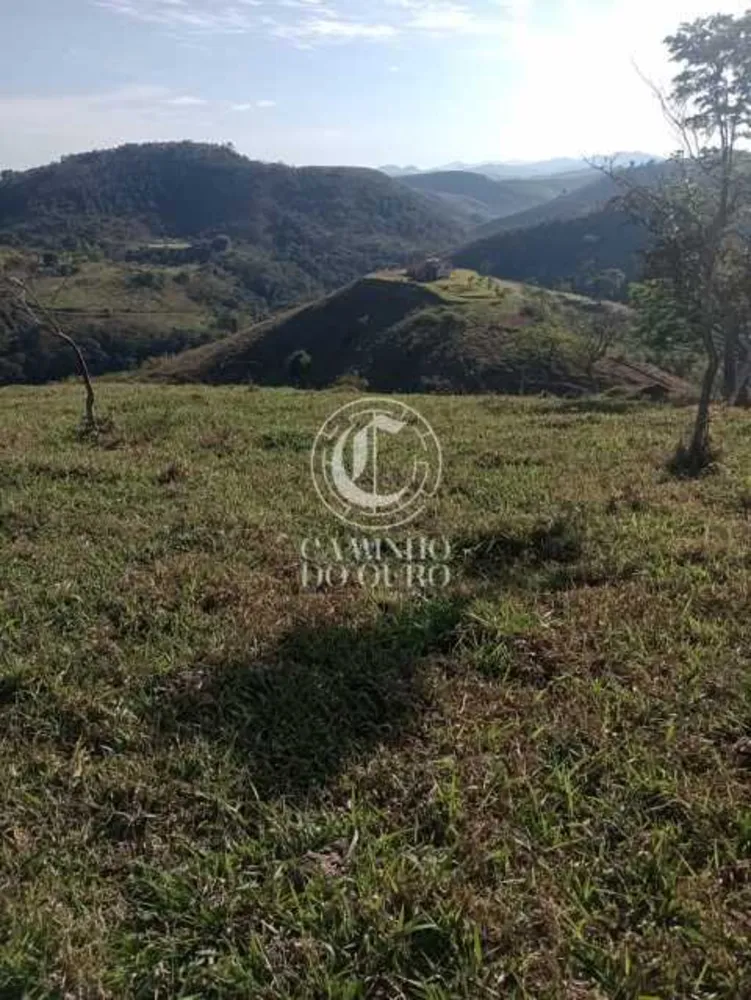Terreno, 11 hectares - Foto 8