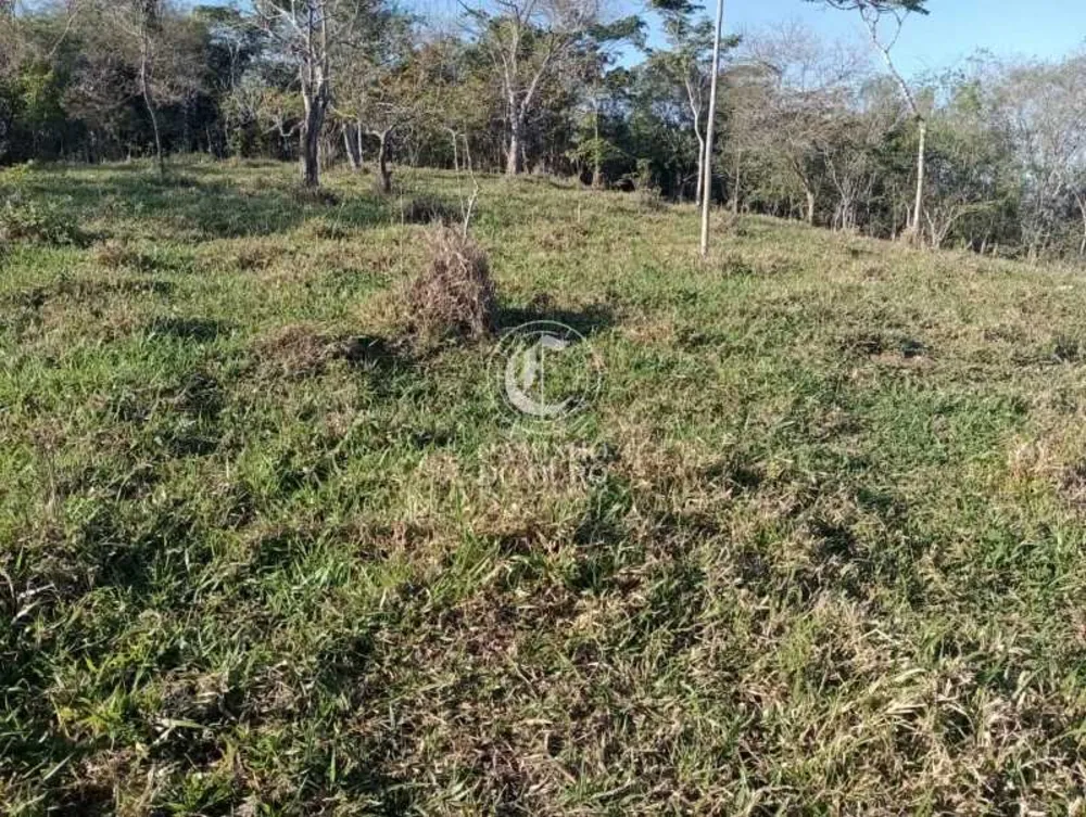 Terreno, 11 hectares - Foto 3