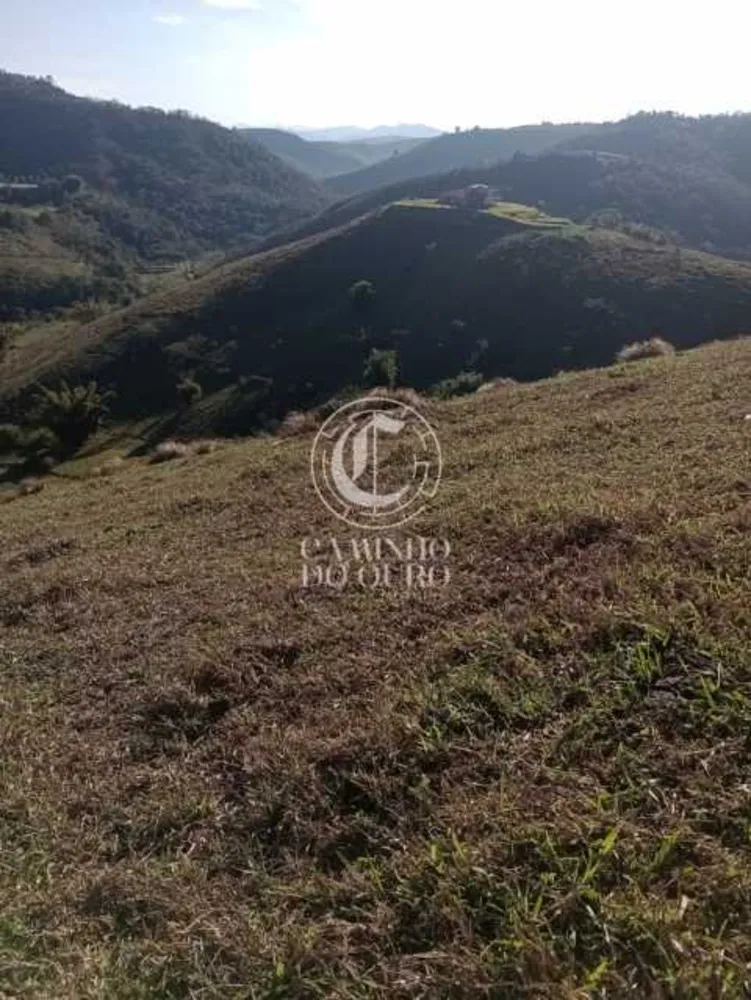 Terreno, 11 hectares - Foto 7